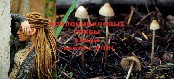 марихуана Горнозаводск
