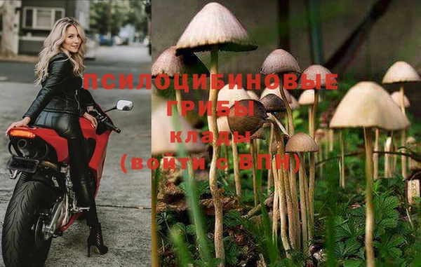 марки lsd Горняк