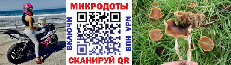 Галлюциногенные грибы Psilocybe  omg зеркало  Мценск 